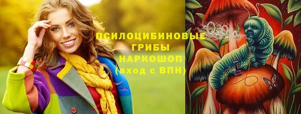 ECSTASY Медвежьегорск